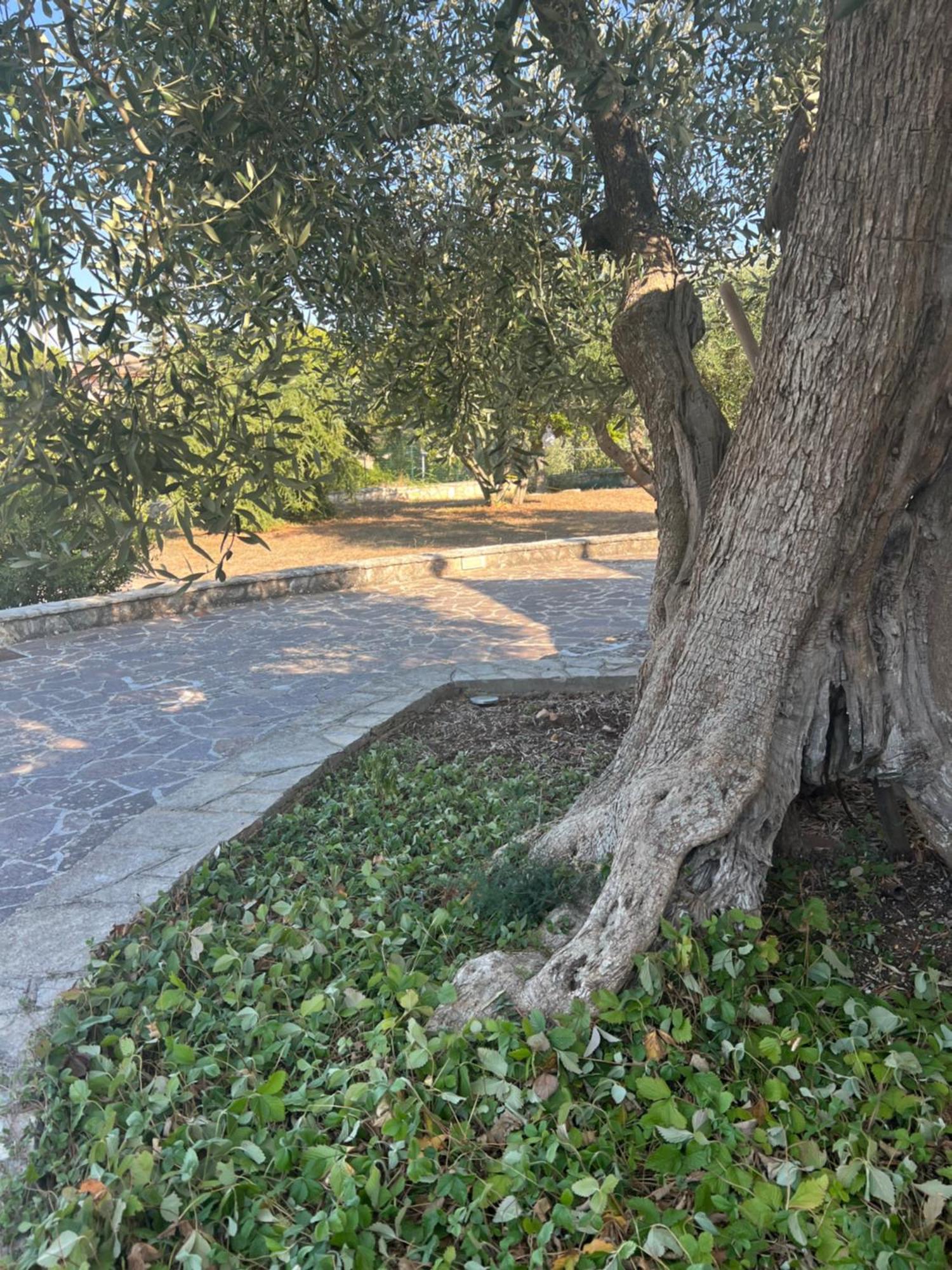ノーチI Trulli Di Evaアパートメント エクステリア 写真